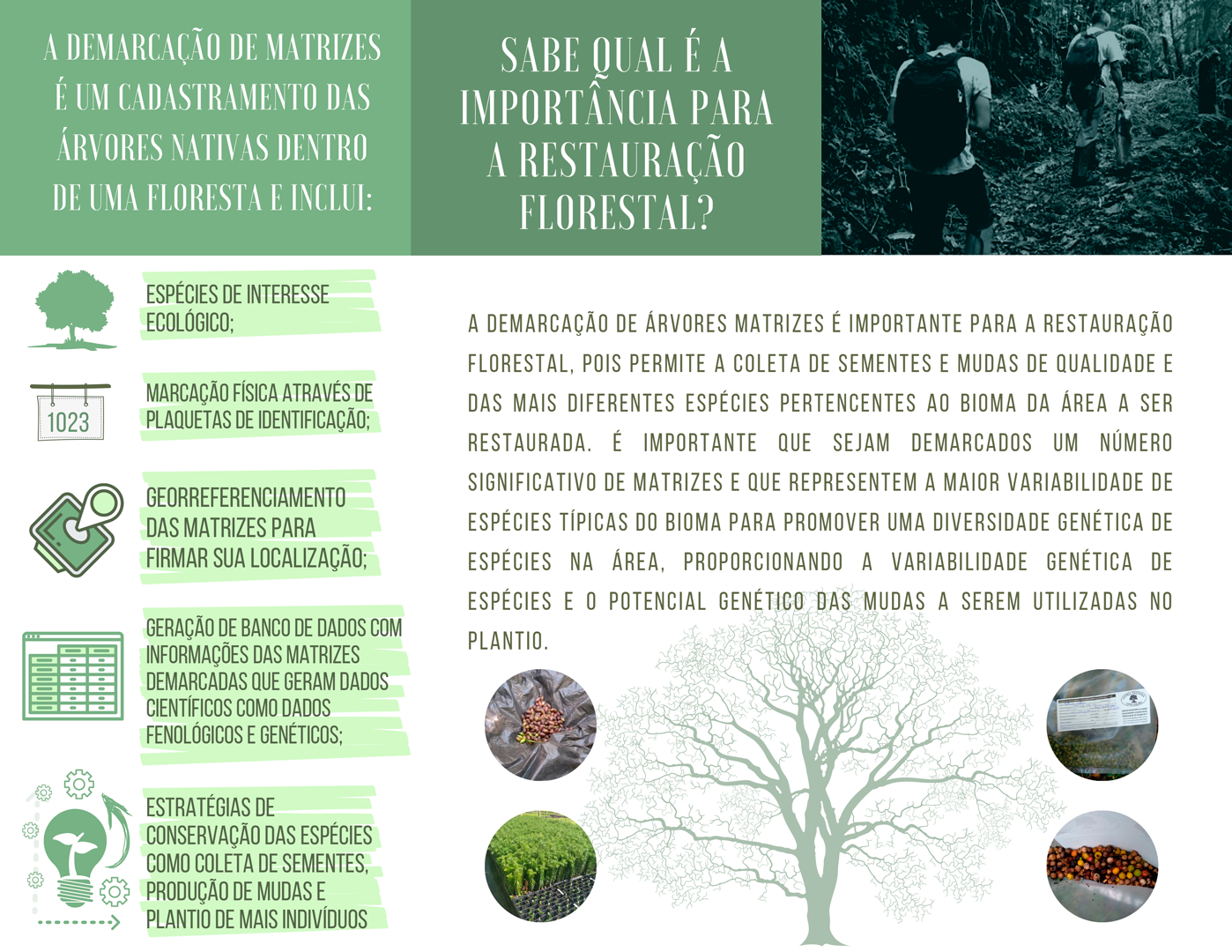 1---Demarcação-de-Matrizes-2.png