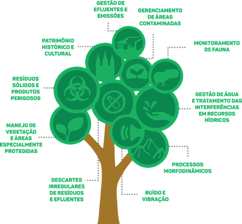 árvore - gestão ambiental.png